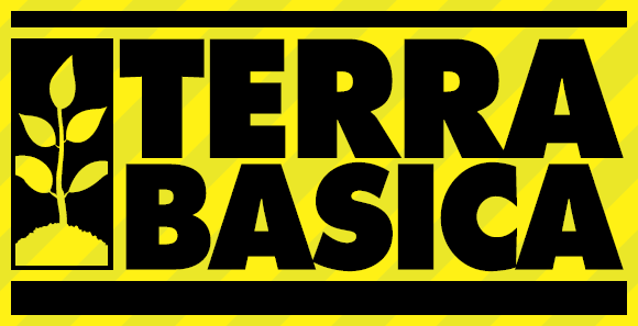 Terrabasica Logo